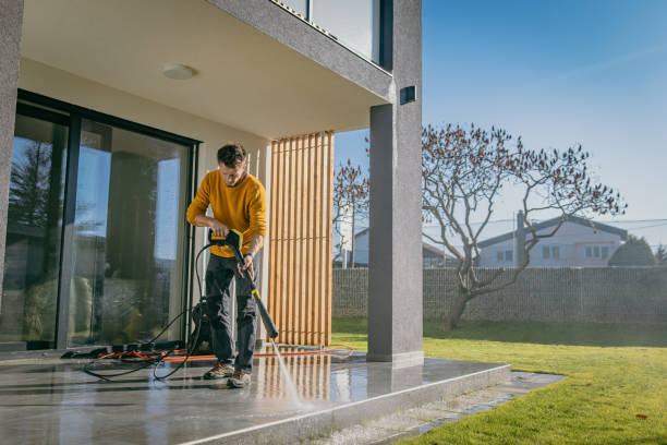 Best Spring Cleaning  in Benton Harbor, MI
